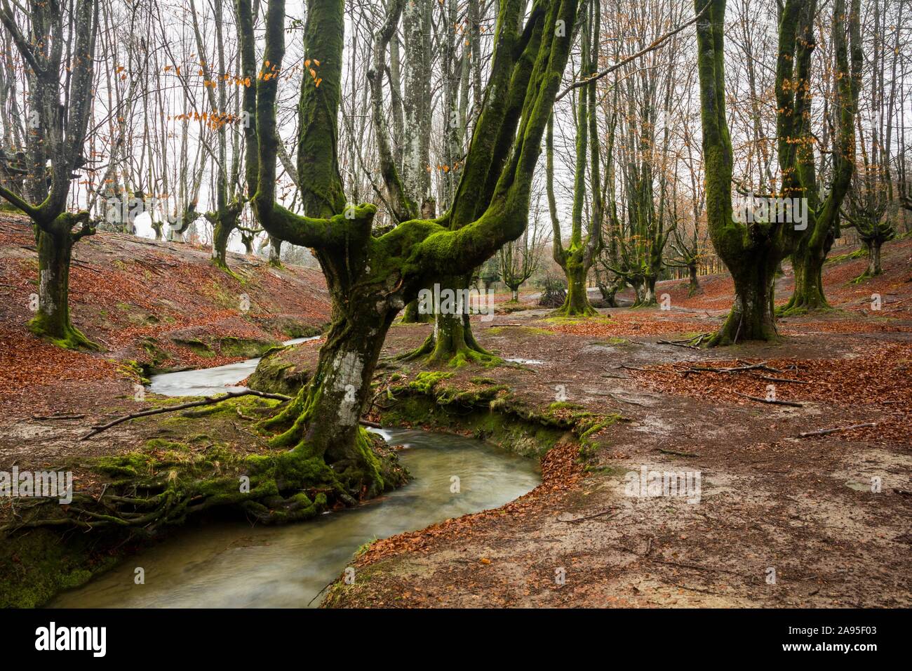 Le Parc Naturel de Gorbea, parc naturel de Gorbea, Gorbeia, Pays Basque province, province de Biscaye, Espagne Banque D'Images