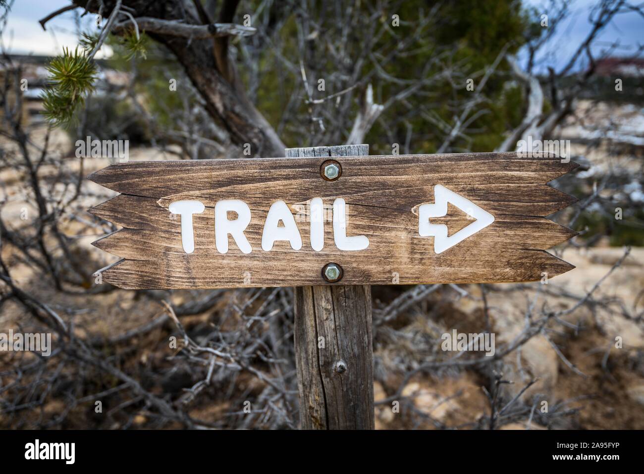 Signpost, Direction, sentier de randonnée, sentier, Natural Bridges National Monument, Utah, USA Banque D'Images