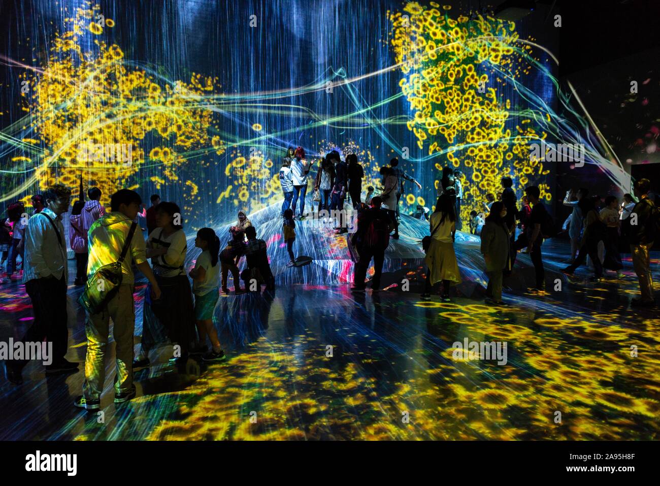 Visiteur, installation lumineuse de fleurs, exposition au Musée d'art numérique, Epson sans marge, TeamLab Odaiba, Tokyo, Japon Banque D'Images