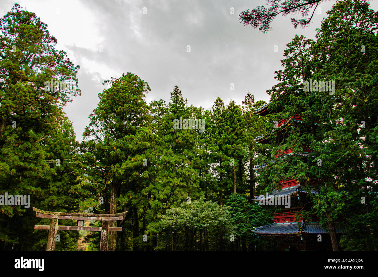 La pagode de cinq étages et de Torii à Nikko, Japon Banque D'Images