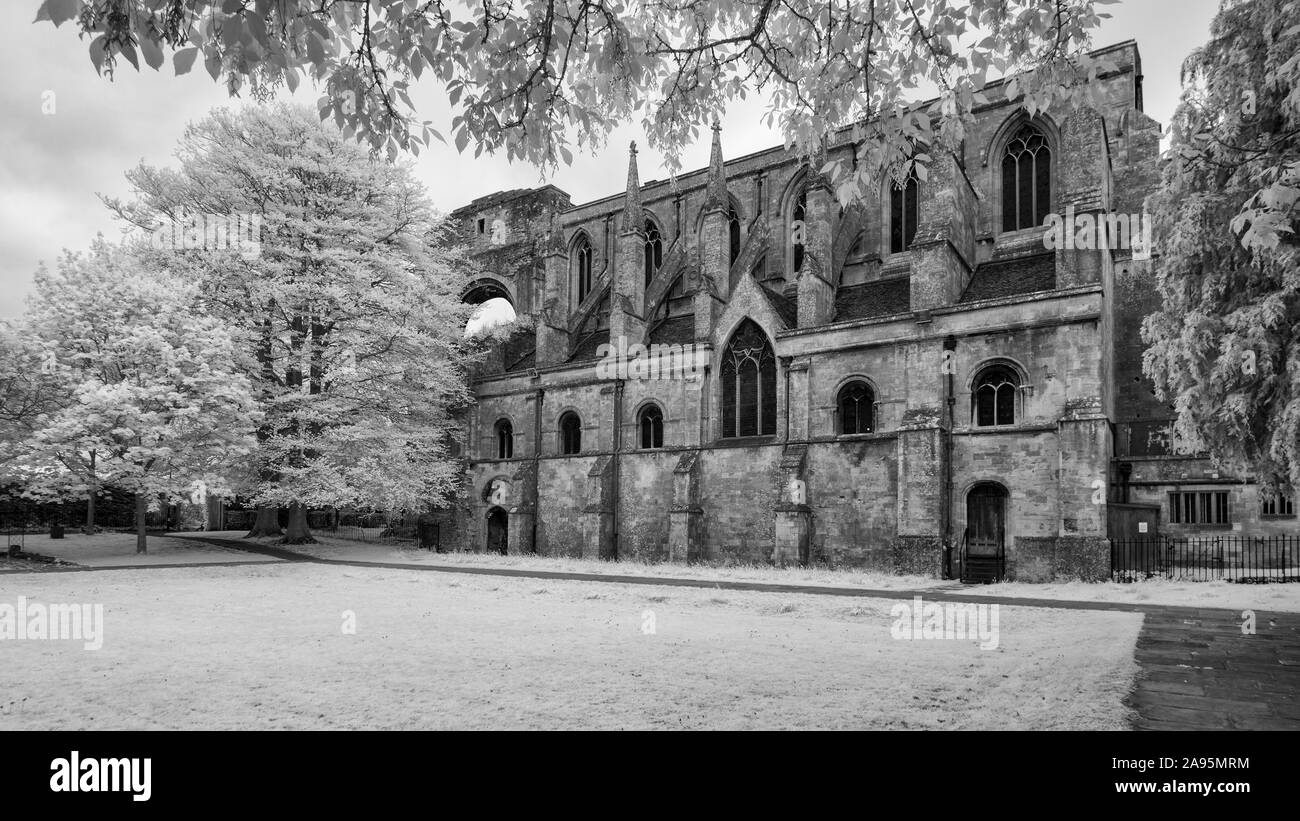 Vue sur le côté nord de l'abbaye de Malmesbury Malmesbury, Wiltshire, Royaume-Uni Banque D'Images