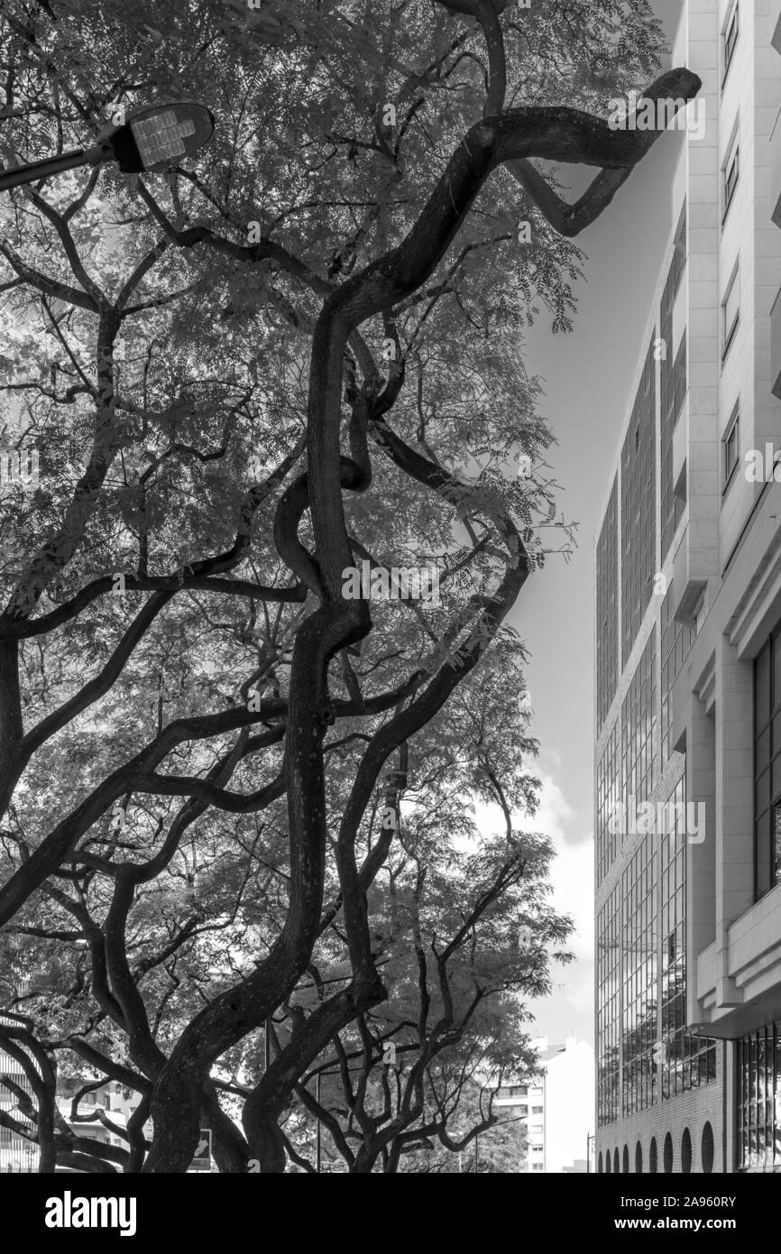 Coimbra Banque D'Images