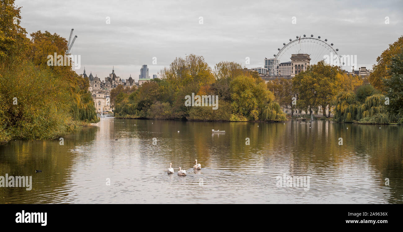 L'automne vue depuis le parc de St James, London, UK, Londres avec le London Eye en arrière-plan. Banque D'Images