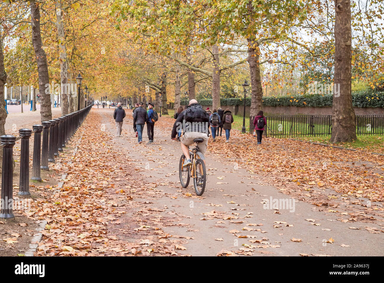 Vue arrière du cycliste sur la chaussée du Mall, centre de Londres, Royaume-Uni, dans les feuilles d'automne tombées avec des piétons touristiques en manteaux d'hiver. Banque D'Images