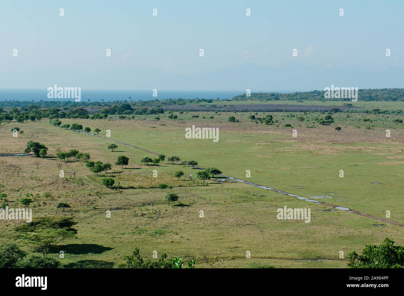 Vue aérienne de Bekol savannah dans le Parc National de Baluran, SItubondo, Indonésie Banque D'Images