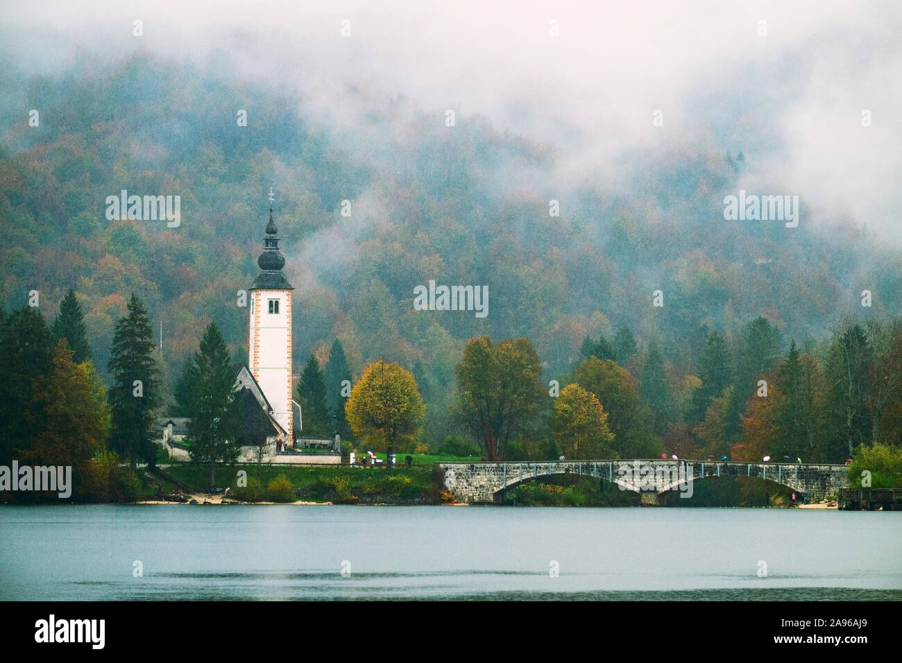 Matin brumeux en automne au lac de Bohinj en Parc National Triglav, Slovénie Banque D'Images