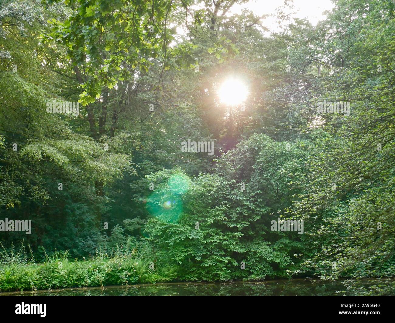 Une soirée d'été dans le parc, Brême, Allemagne Banque D'Images