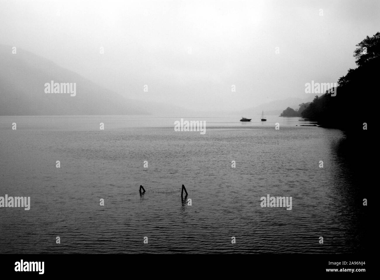 La scène dramatique du Loch Lomond sur misty un matin de printemps Banque D'Images