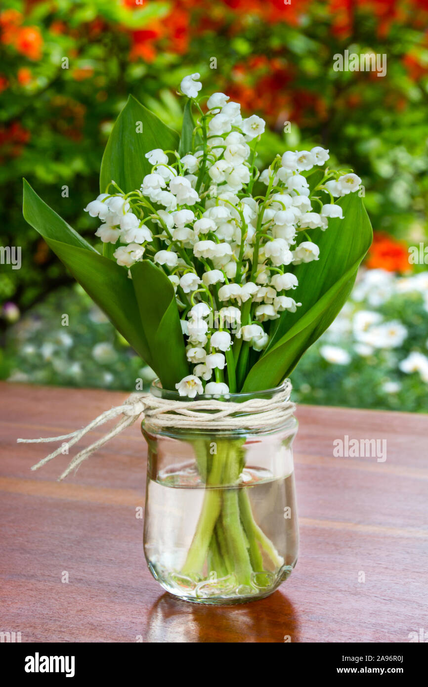 Le muguet et vase à fleurs Photo Stock - Alamy