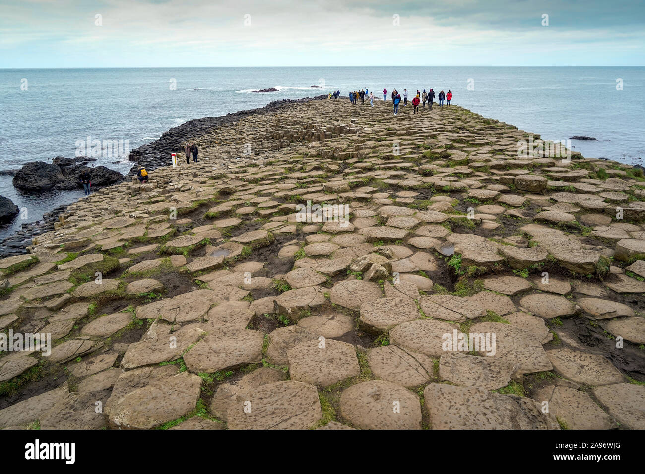 Le Giant's Causeway le comté d'Antrim, sur la côte nord de l'Irlande du Nord Banque D'Images