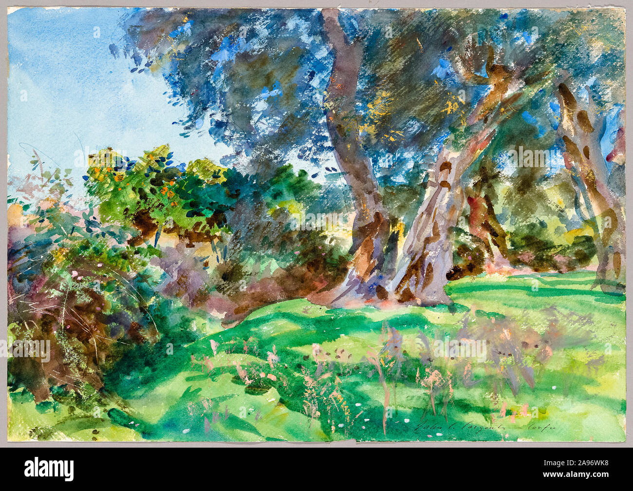 John Singer Sargent, aquarelle, oliviers, Corfou, 1909 Banque D'Images