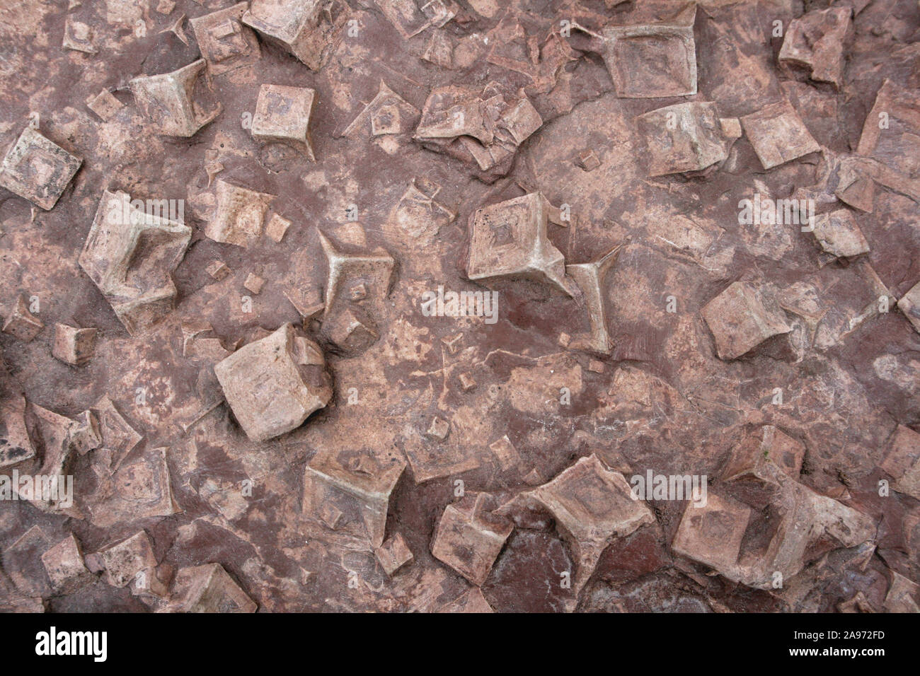 L'halite, pseudomorphes Weaver Valley, Cheshire, marnes du keuper, du trias Groupe Mudstone Mercie Banque D'Images