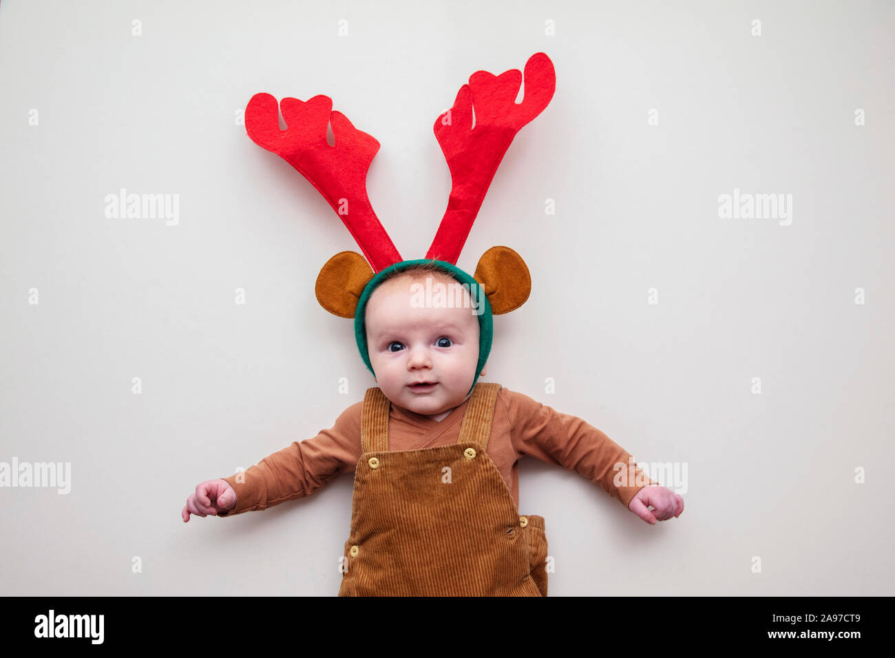 Bébé renne Banque de photographies et d'images à haute résolution - Alamy