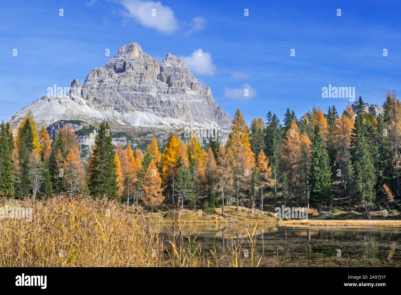 Mountain Drei Zinnen et mélèzes en couleurs d'automne autour du lac Lago d'Antorno dans le Tre Cime, Parc Naturel, Dolomites Tyrol du Sud, Italie Banque D'Images