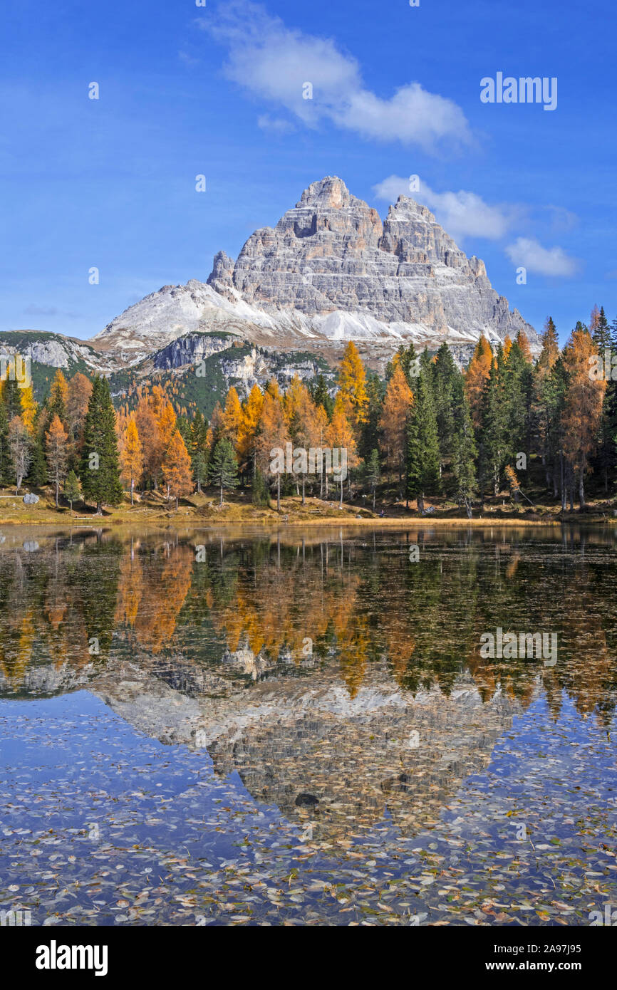 Mountain Drei Zinnen et le mélèze arbres se reflétant dans l'eau du lac Lago d'Antorno dans le Tre Cime Parc naturel dans l'automne, Dolomites, Tyrol du Sud, Italie Banque D'Images