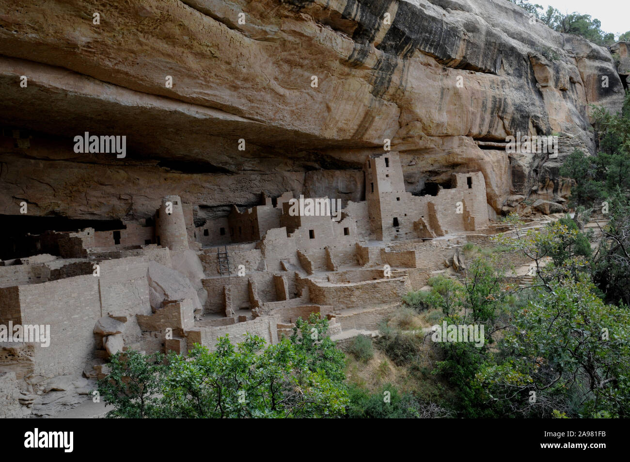 Vues de la falaise Palace pueblo logements à Mesa Verde National Park, Colorado USA. Les ruines peuvent être visités à proximité jusqu'à l'aide d'un ranger du parc tête tour. Banque D'Images