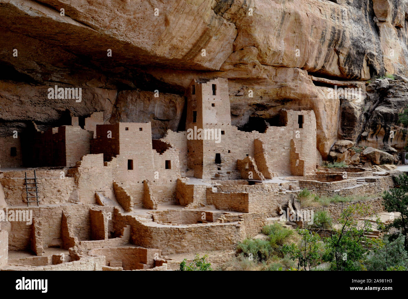 Vues de la falaise Palace pueblo logements à Mesa Verde National Park, Colorado USA. Les ruines peuvent être visités à proximité jusqu'à l'aide d'un ranger du parc tête tour. Banque D'Images