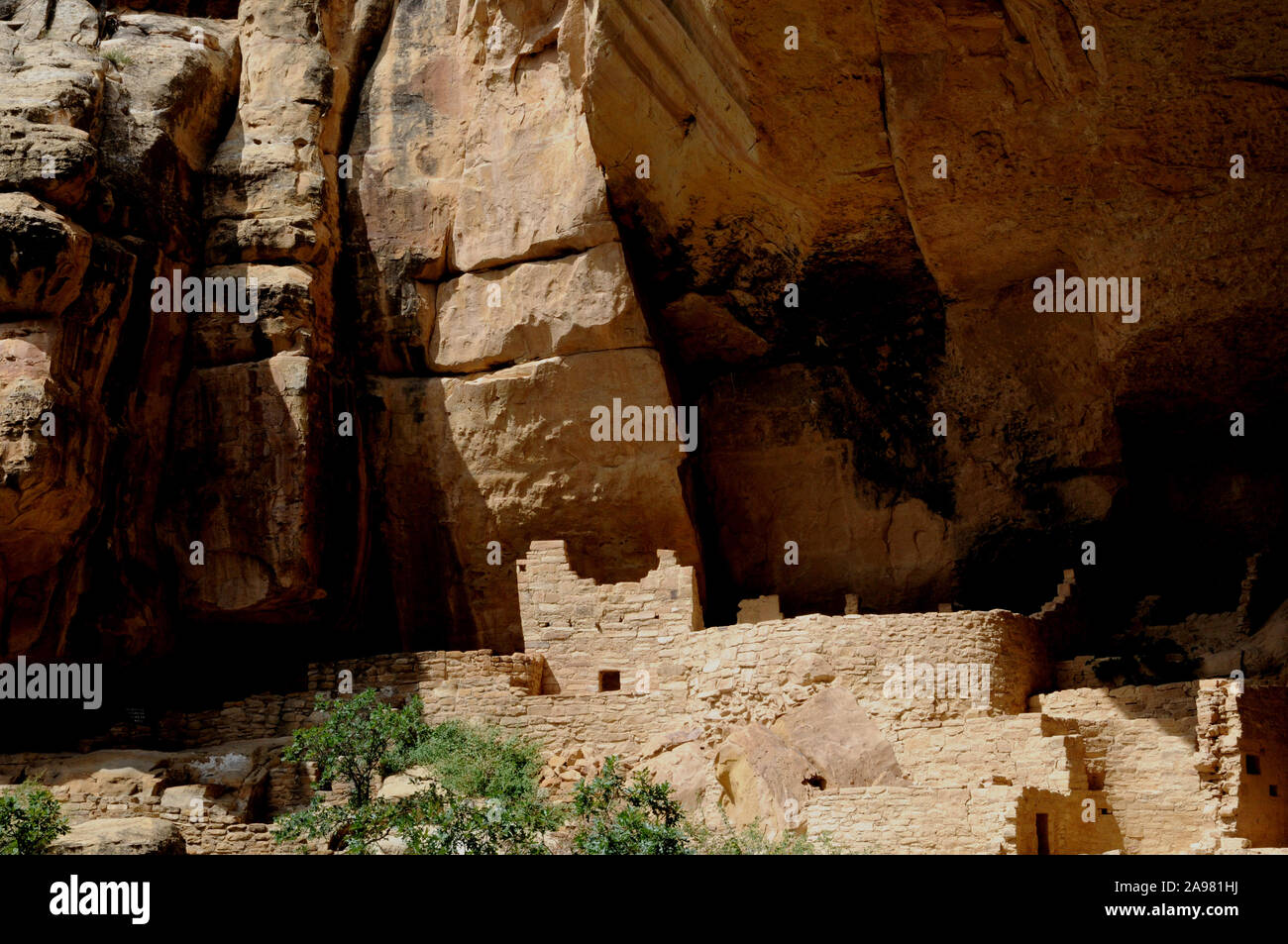 Vues de la falaise Palace pueblo logements à Mesa Verde National Park, Colorado USA. Les ruines peuvent être visités à proximité jusqu'à l'aide d'un ranger du parc tête tour. Banque D'Images