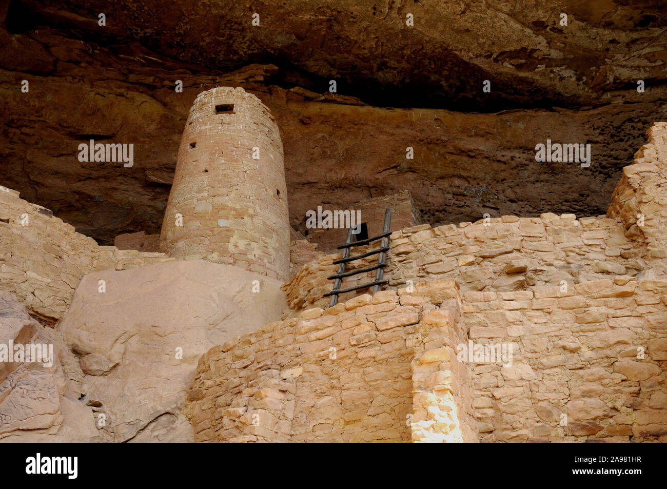 Vues de la falaise Palace pueblo logements à Mesa Verde National Park, Colorado USA. Les ruines peuvent être visités à proximité jusqu'à l'aide d'un ranger du parc tête tour. Banque D'Images