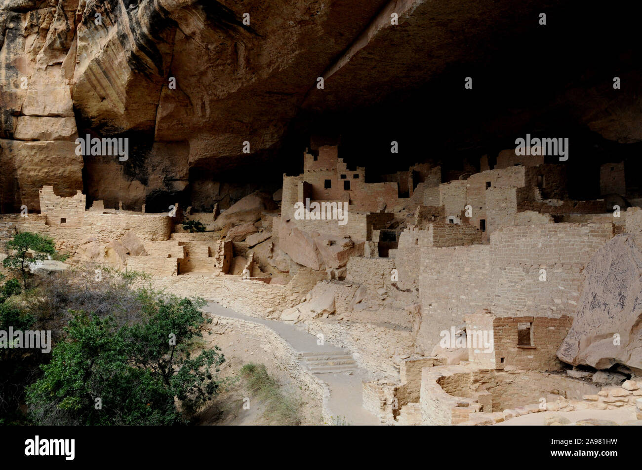 Vues de la falaise Palace pueblo logements à Mesa Verde National Park, Colorado USA. Les ruines peuvent être visités à proximité jusqu'à l'aide d'un ranger du parc tête tour. Banque D'Images