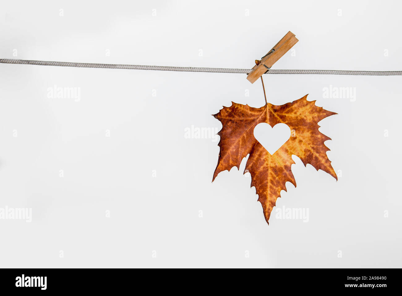 Des feuilles d'automne jaune accroché à un collier sur le fond blanc et  coupe en forme de coeur Photo Stock - Alamy