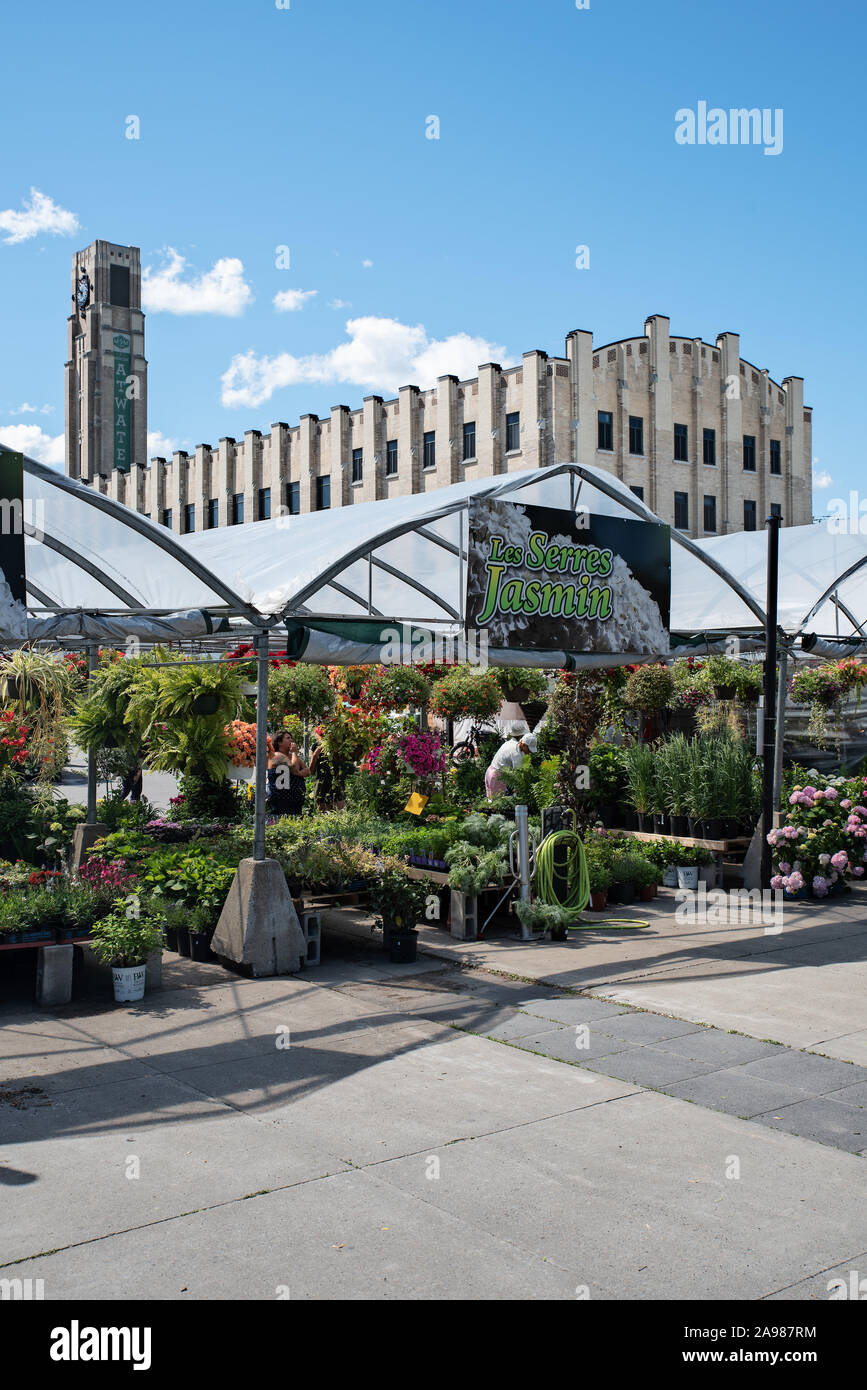 Près du Marché Atwater, Canal Lachine, Montréal, Québec, Canada Banque D'Images