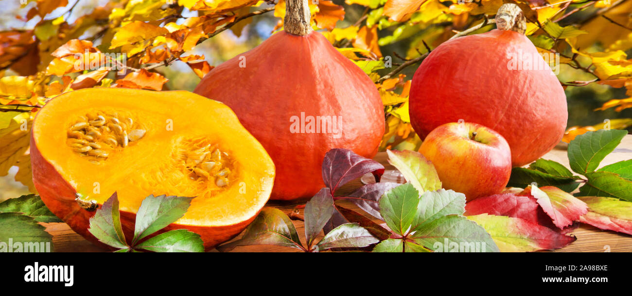 L'automne et les pommes pumkins Banque D'Images