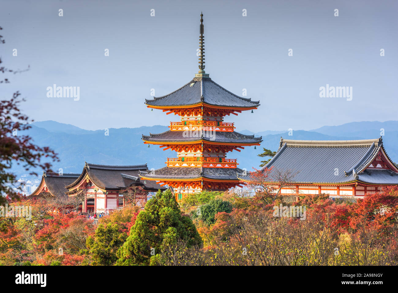 Pagode de Kiyomizu-dera avec couleurs d'automne à Kyoto, au Japon. Banque D'Images