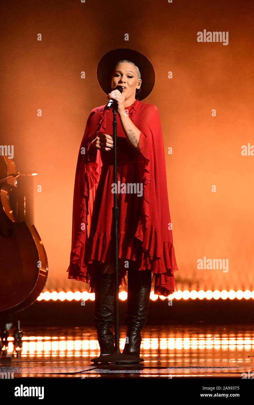 Nashville, Tennessee, USA. 13 Nov, 2019. Rose, Chris Stapleton. 51e Prix annuel de la musique country, plus grande nuit, tenue à Bridgestone Arena. Crédit photo : Laura Farr/AdMedia/MediaPunch MediaPunch Crédit : Inc/Alamy Live News Banque D'Images