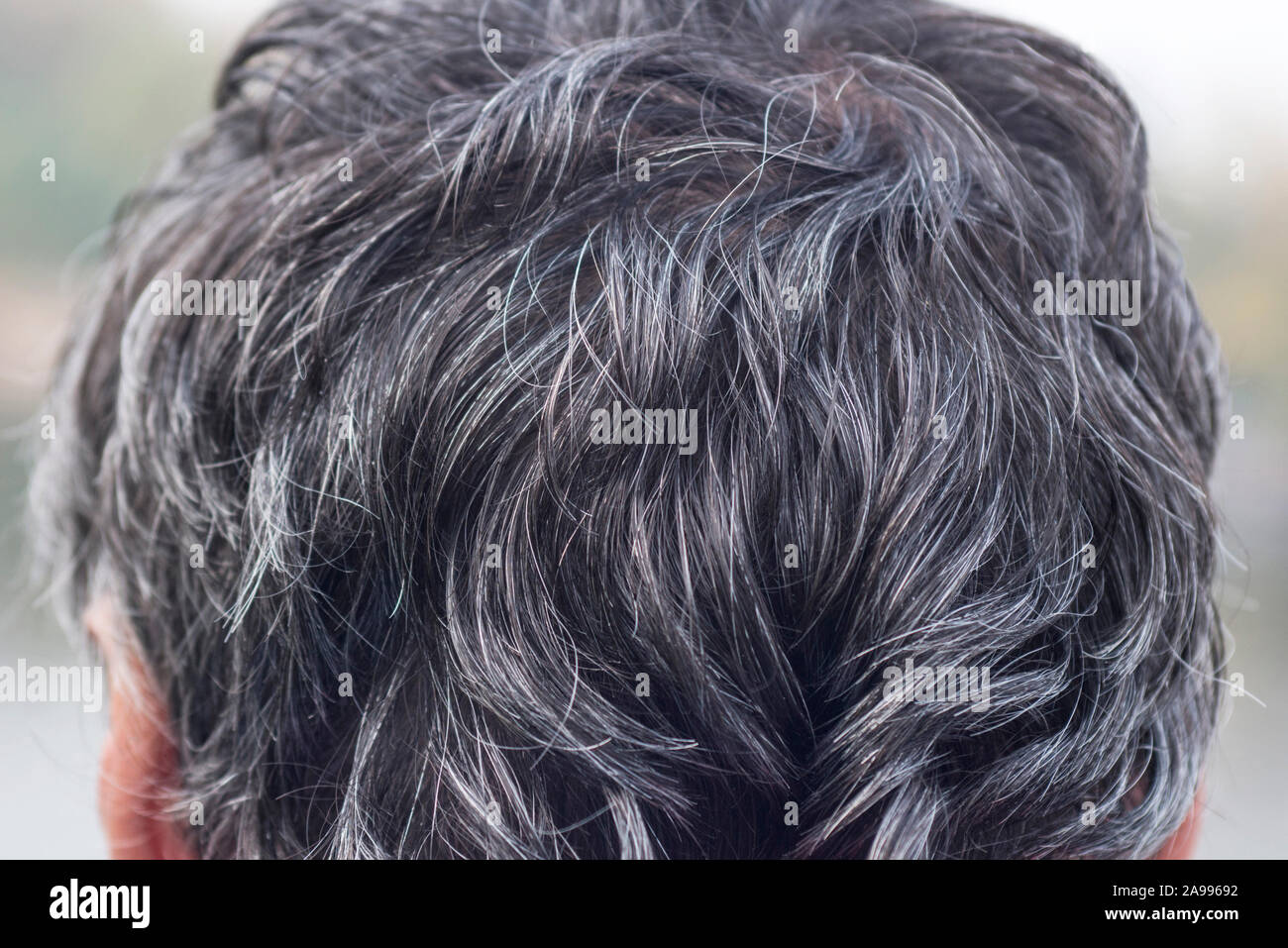 Mèche de cheveux gris Banque de photographies et d’images à haute