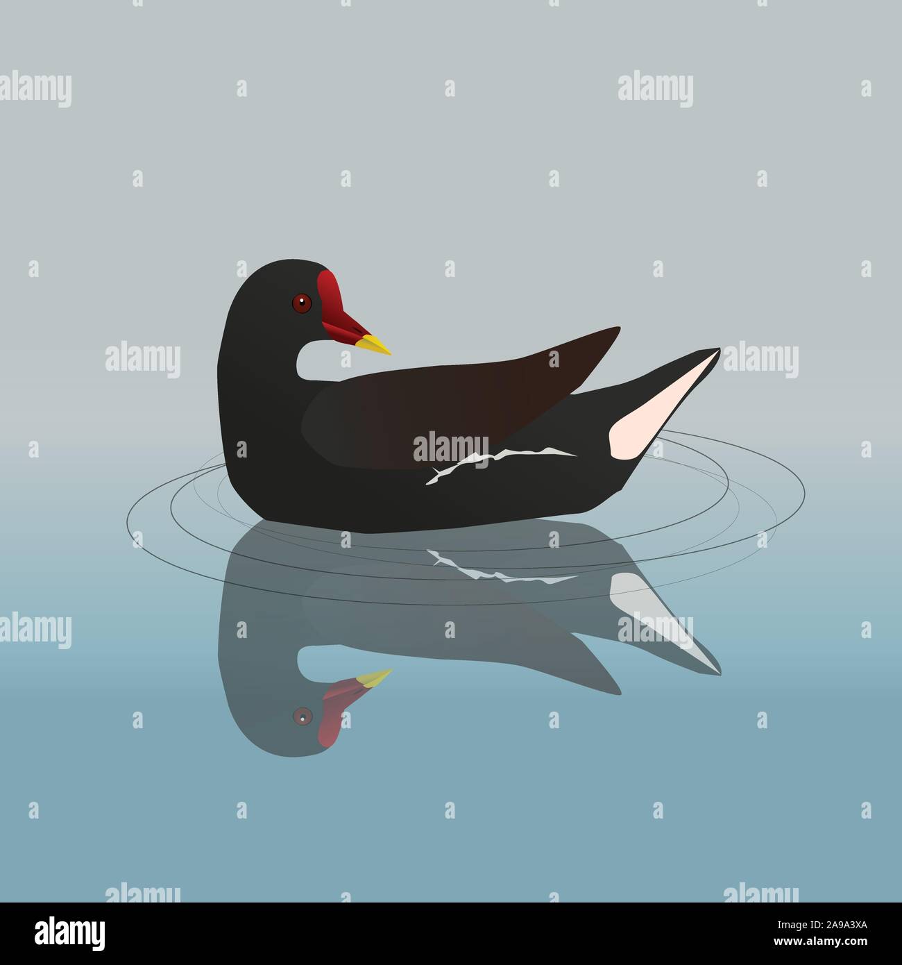 Un vecteur illustration de la Gallinule poule-d'une piscine Illustration de Vecteur