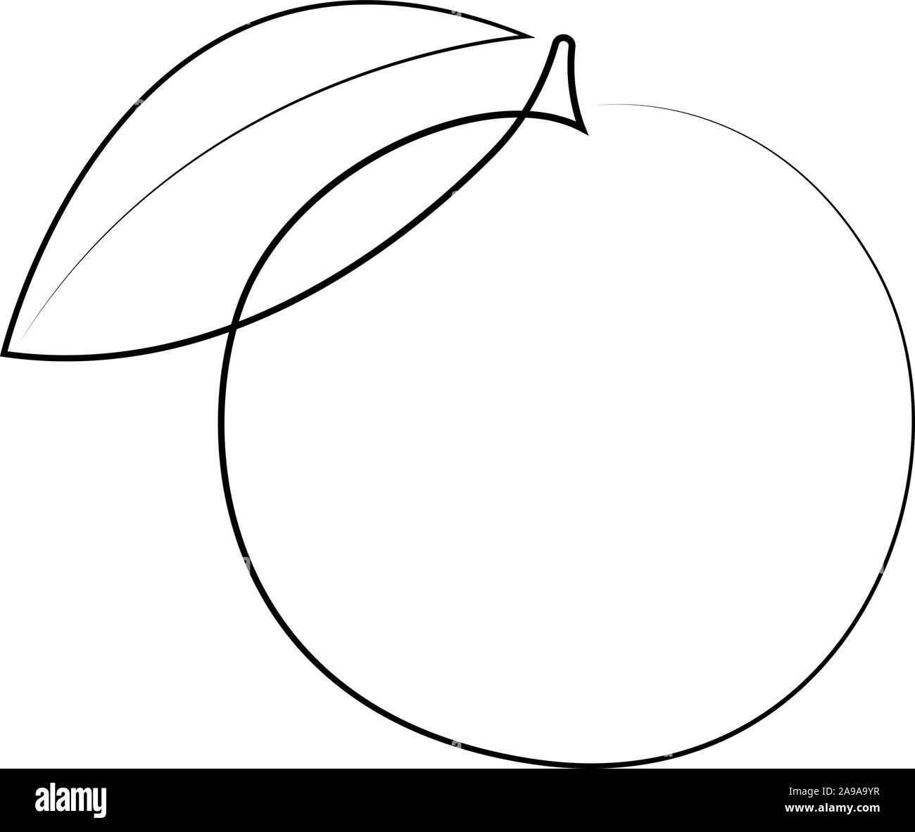 Illustration des fruits orange. Une ligne continue un style minimaliste. Vector Illustration de Vecteur