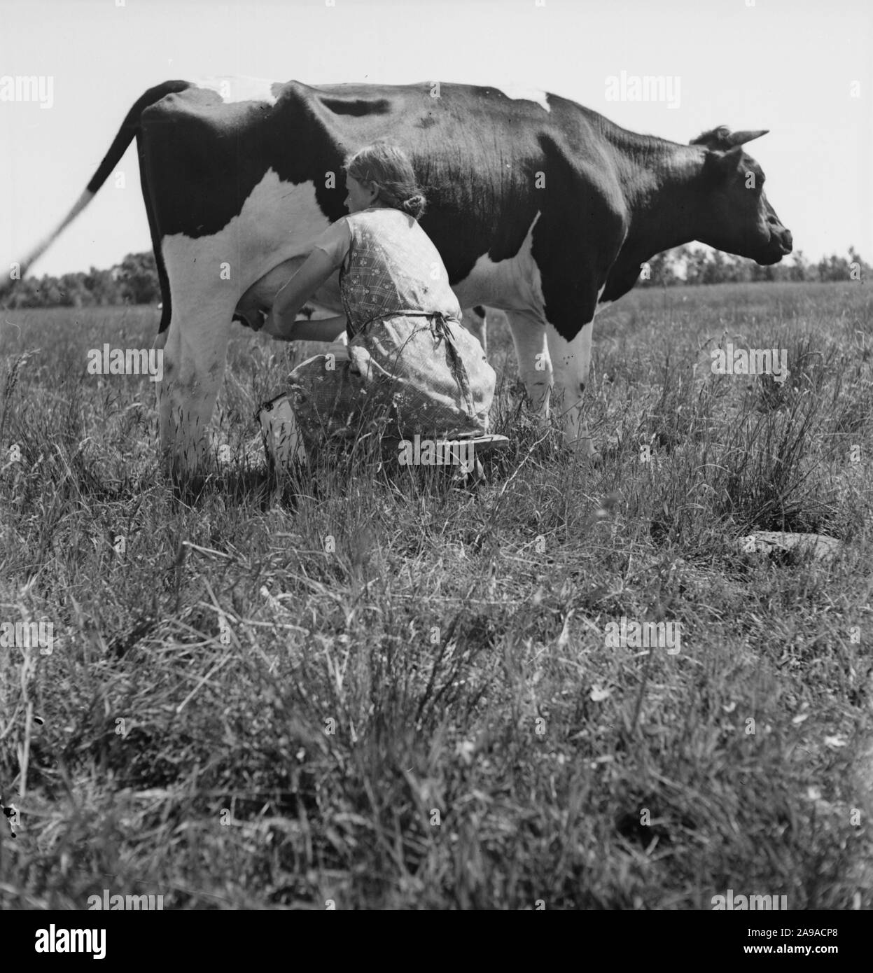 L'été à la campagne, à l'Allemagne des années 1930. Banque D'Images