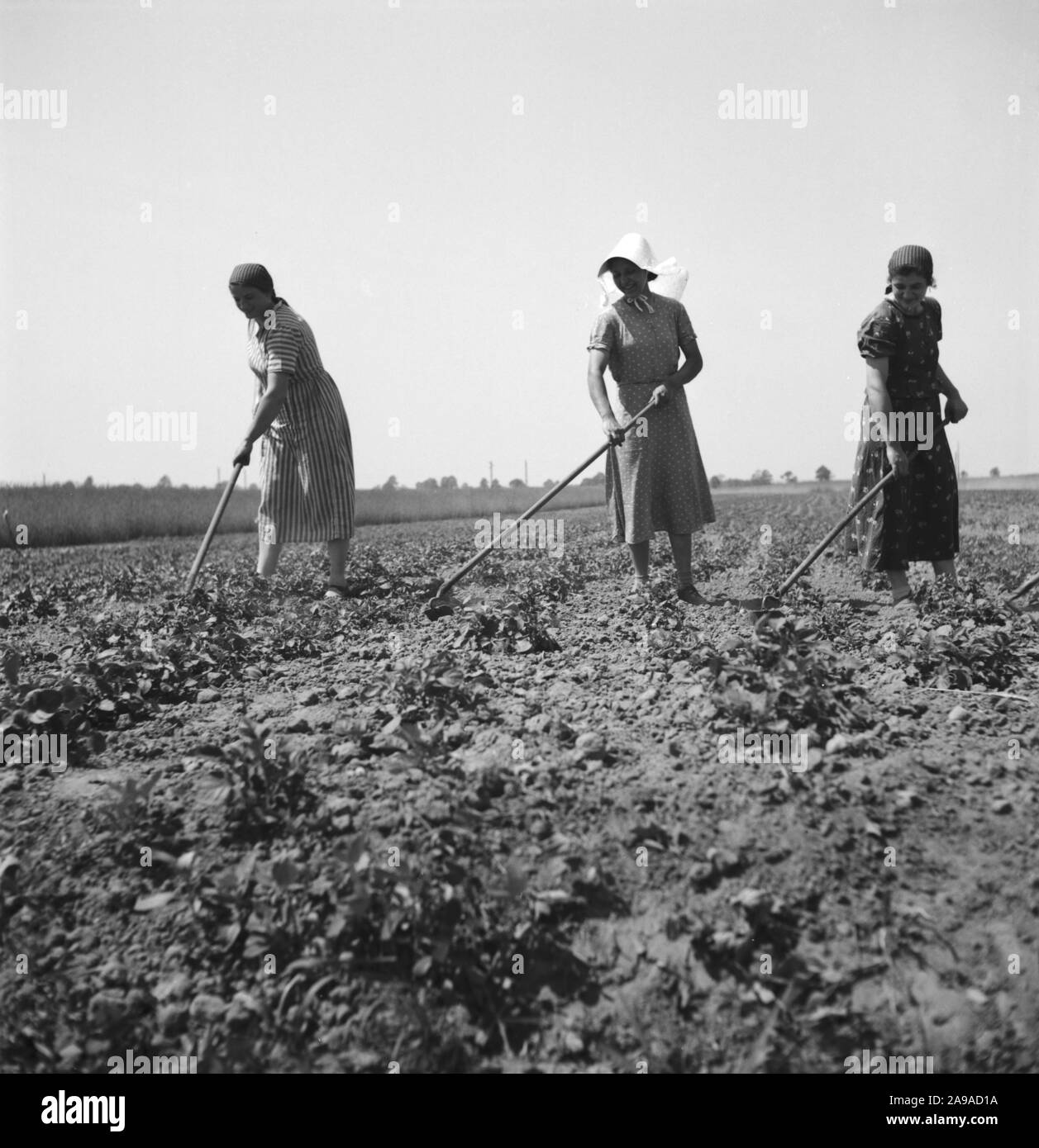 L'été à la campagne, à l'Allemagne des années 1930. Banque D'Images