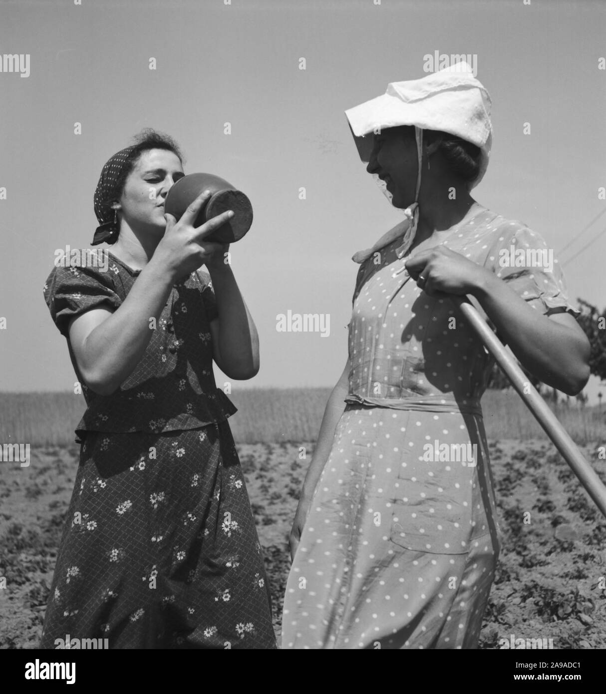 L'été à la campagne, à l'Allemagne des années 1930. Banque D'Images