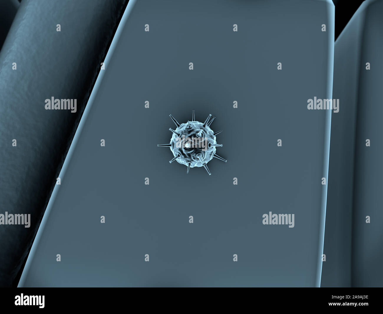 Structure du foie, attaque de virus le foie, le système immunitaire humain, surface du foie, les cellules du foie, maladie du foie, du foie, de structure Banque D'Images
