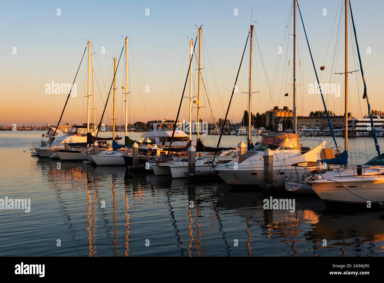 La lumière de soleil du soir sur le port de plaisance d'Oakland, Californie, États-Unis d'Amérique. USA Banque D'Images