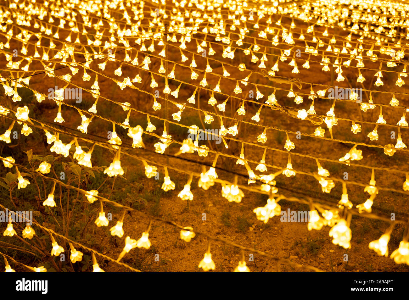 Feux à LED en forme de fleurs, de pétales. Banque D'Images