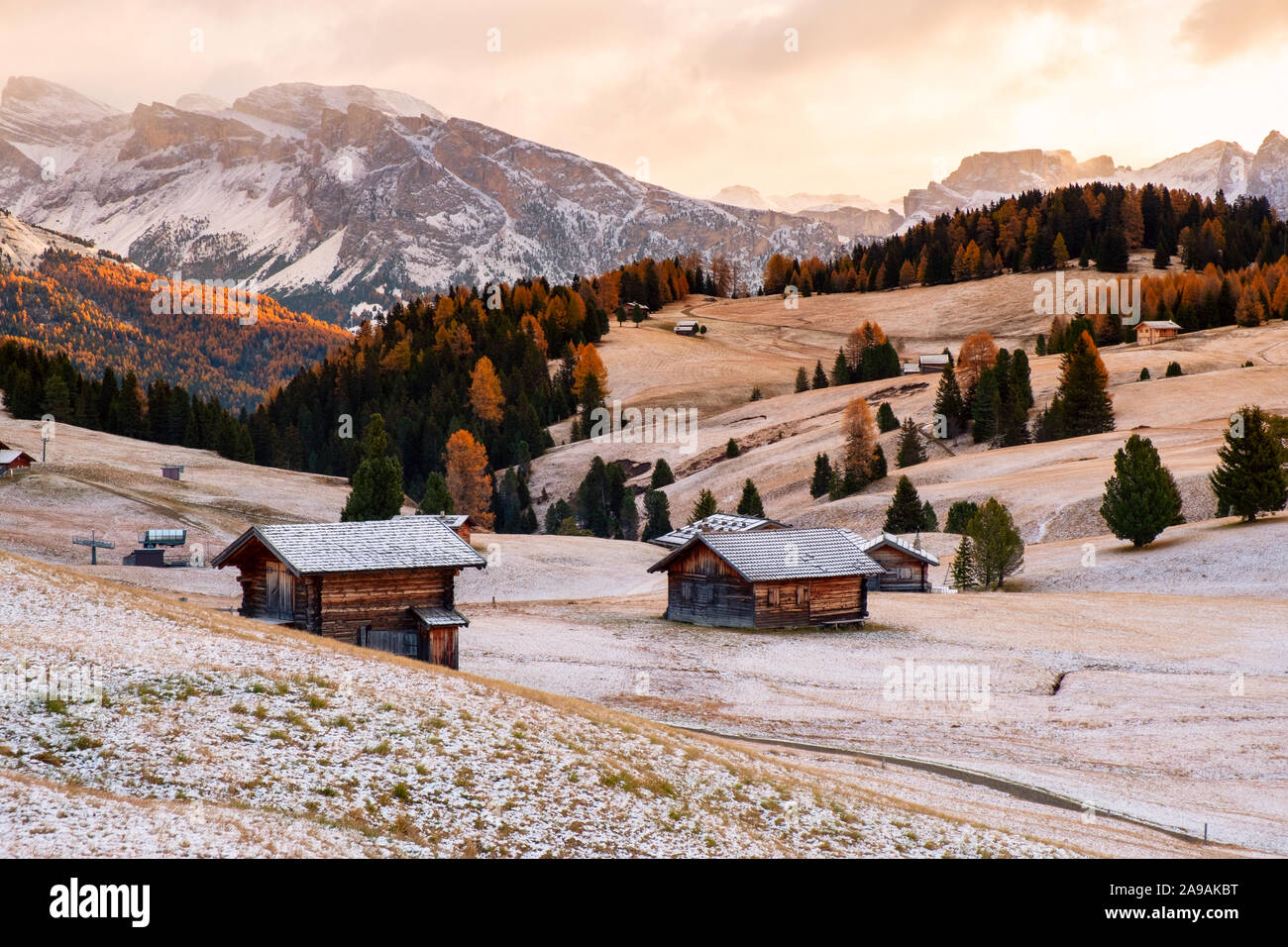 Beau décor de l'automne à l'Alpe di Siusi ou Siusi avec Sassolungo Langkofel - groupe de la montagne en arrière-plan dans les Alpes, les Dolomites Tyrol du Sud, Italie. Banque D'Images