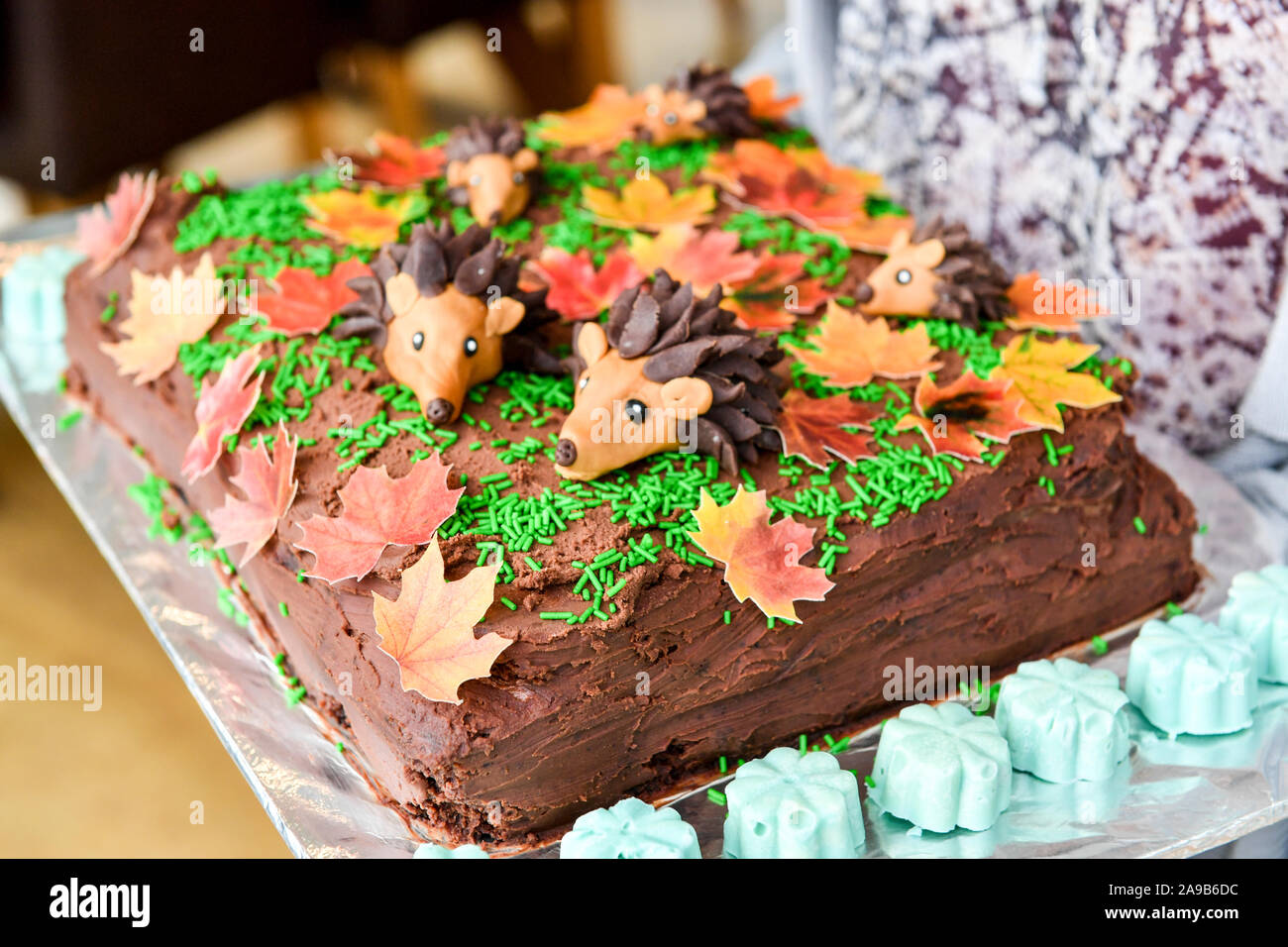 Gateau D Anniversaire Sur Le Theme Du Herisson Photo Stock Alamy
