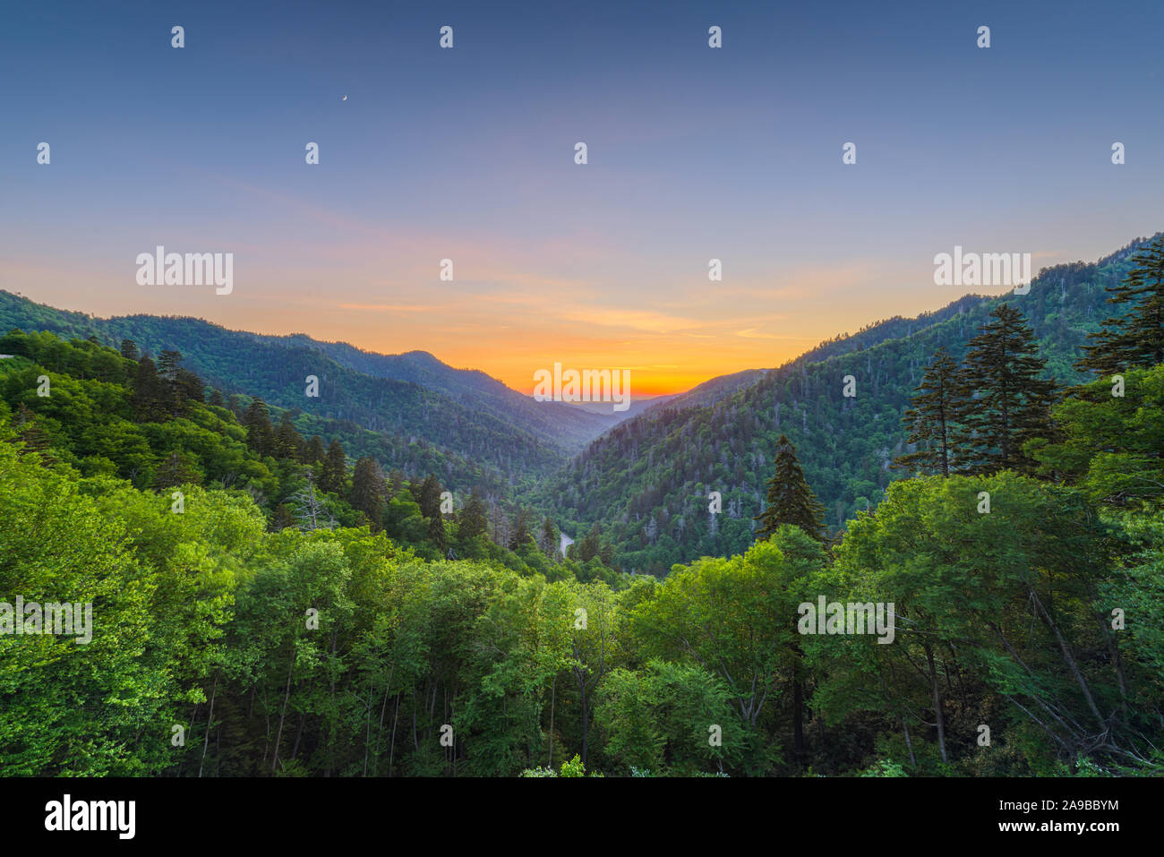 Newfound Gap dans les Great Smoky Mountains National Park, sur la frontière du Tennessee et de Caroline du Nord après le coucher du soleil en été. Banque D'Images