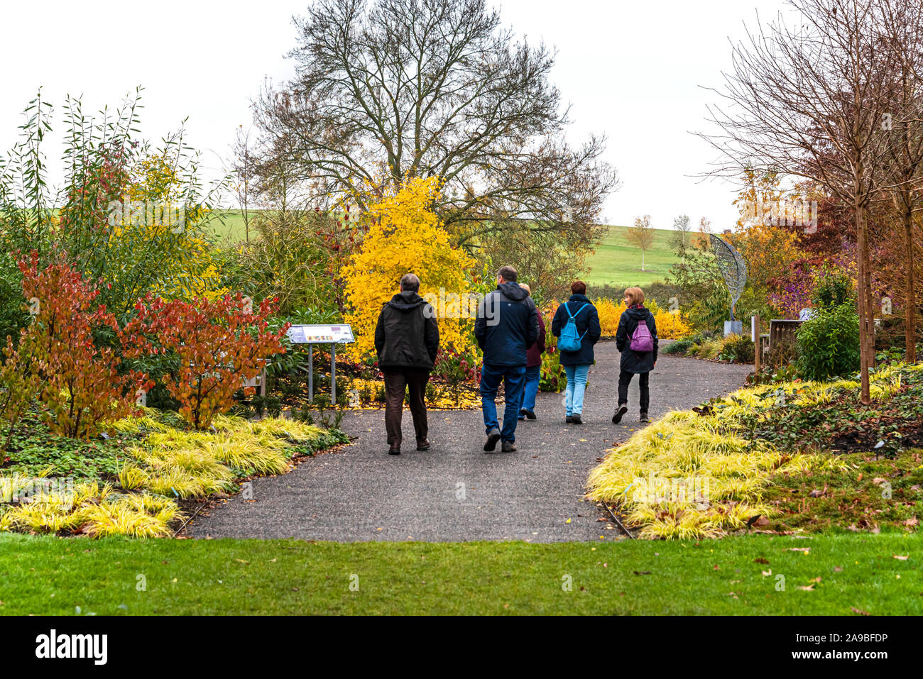 Groupe d'hommes et de femmes connaissant le jardin d'hiver à rhs Hyde Hall. Les gens d'admirer le début de l'automne couleur. Banque D'Images