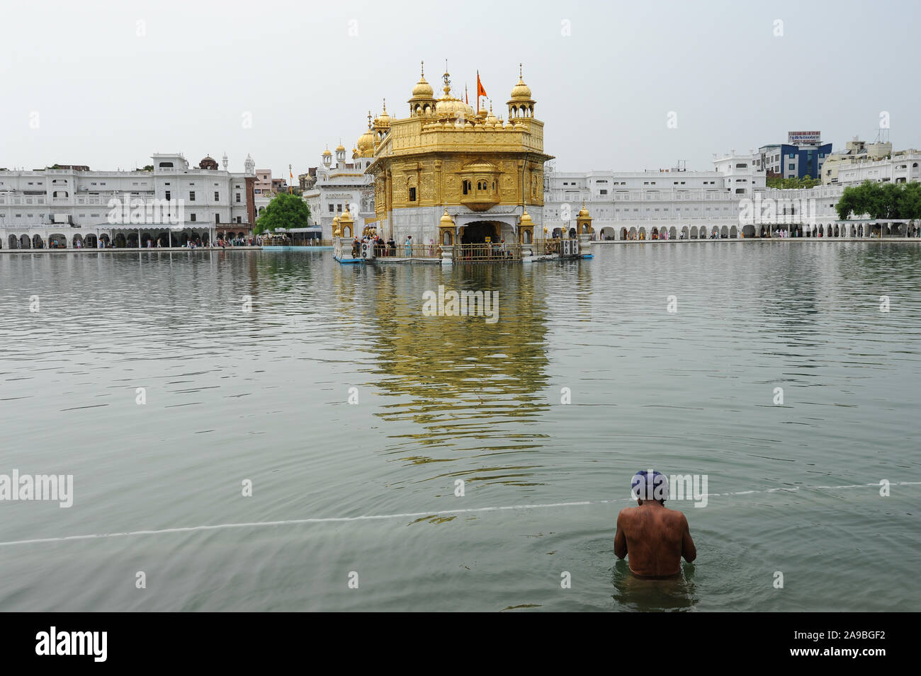 22.07.2011, Amritsar, Punjab, India - un Sikh croyant bains dans le bassin d'eau bénite (Sarover Amrit) du Temple d'Or, le plus grand sanctuaire de th Banque D'Images