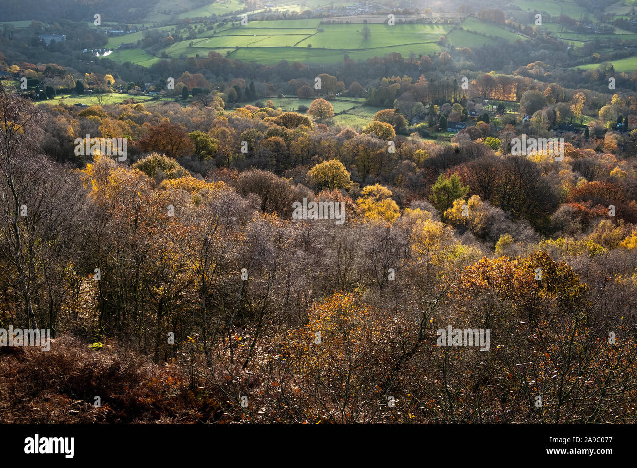 Couleurs d'automne dans la vallée de la Derwent, vu de Froggatt Edge, parc national de Peak District Derbyshire Banque D'Images
