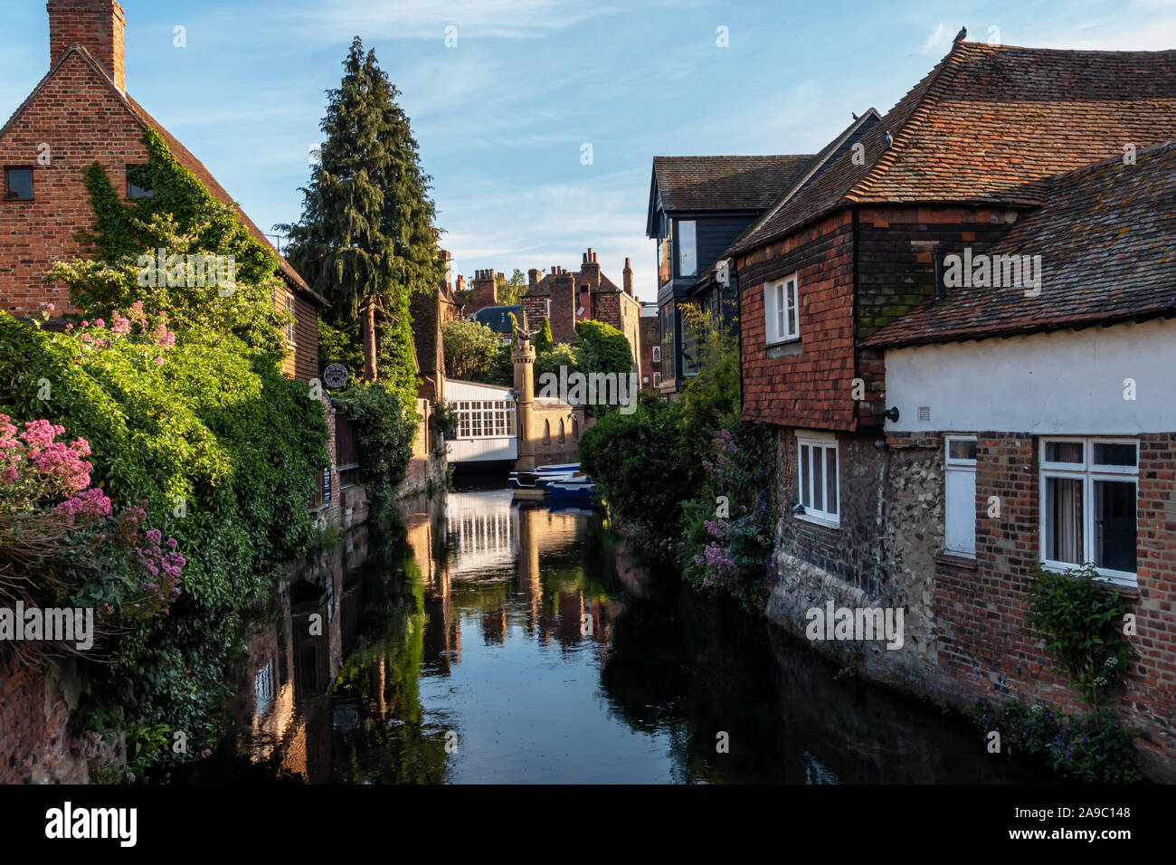 La rivière Stour s'écoule à travers la ville, une cathédrale de Canterbury dans le Kent, Angleterre du Sud-Est, Royaume-Uni Banque D'Images