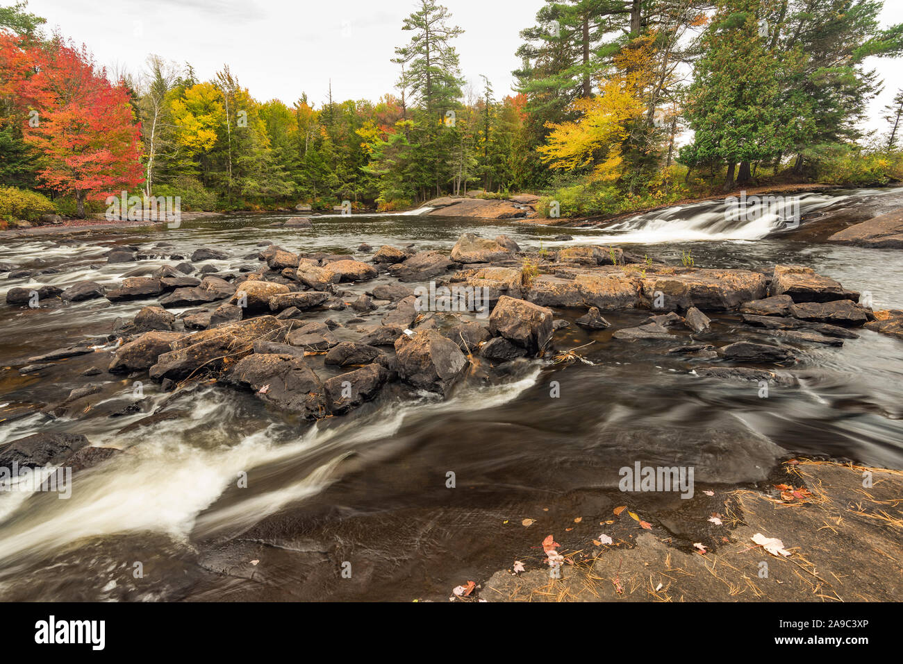 Juste au-dessus de la rivière tourbières Tupper Lake à l'automne, des montagnes Adirondack, Saint Lawrence Comté (New York) Banque D'Images