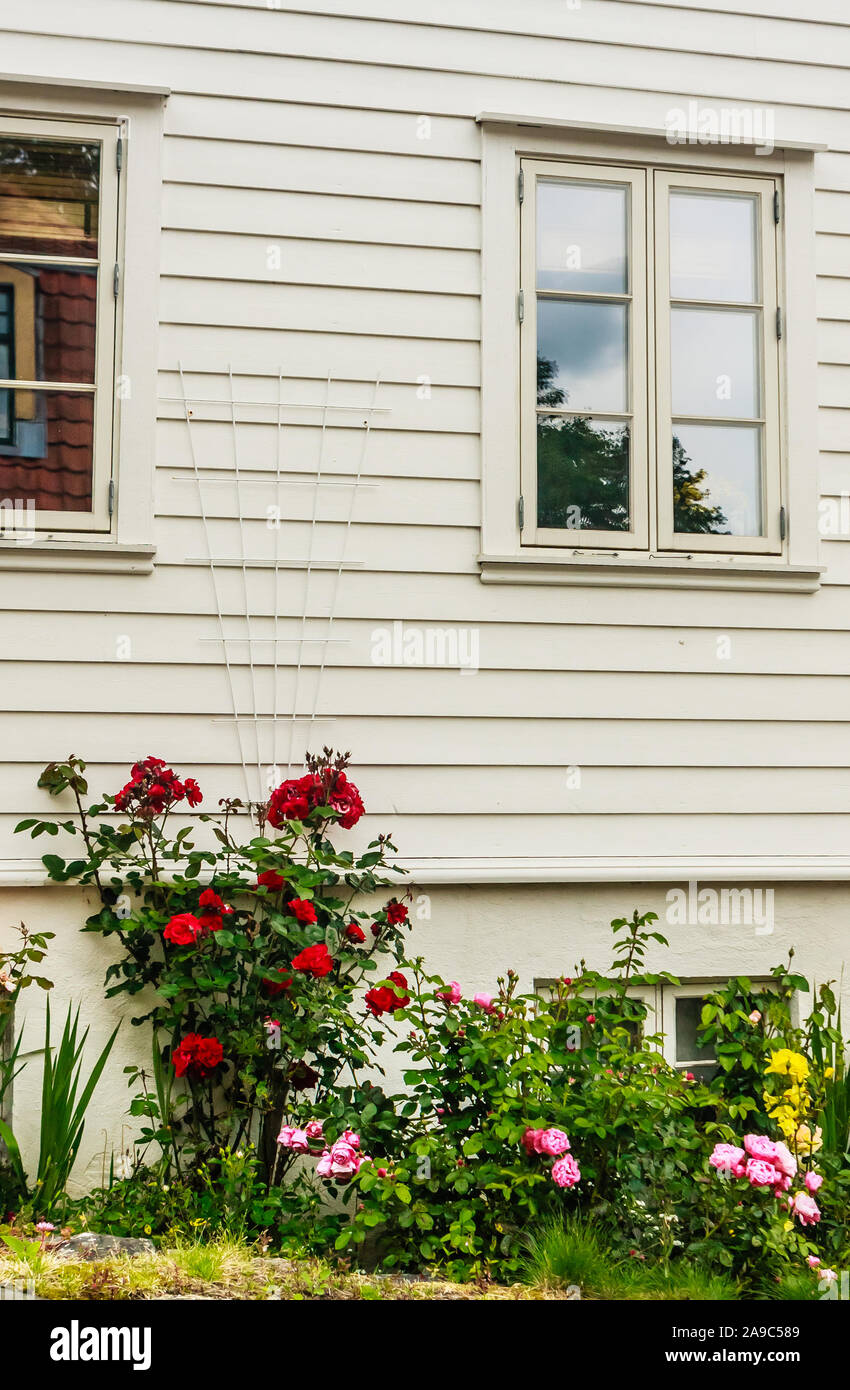 Joli chalet norvégien avec des fleurs sur l'Ovre Strandgate dans la partie ancienne de Stavanger appelé Gamle Stavanger Banque D'Images