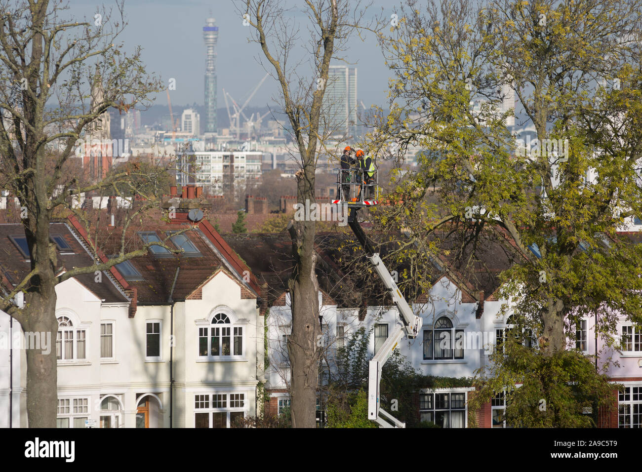 Chirurgiens enlever un arbre mort 100 ans de frêne en face des maisons de banlieue à Ruskin Park, un espace vert qui surplombe la capitale dans le quartier londonien de Lambeth, le 13 novembre 2019, à Londres, en Angleterre. Banque D'Images