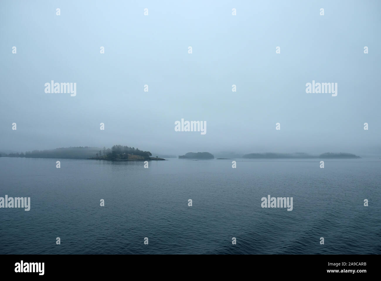 Scène de l'eau du brouillard avec de petites îles couvertes d'arbres et de l'eau ondulante Banque D'Images