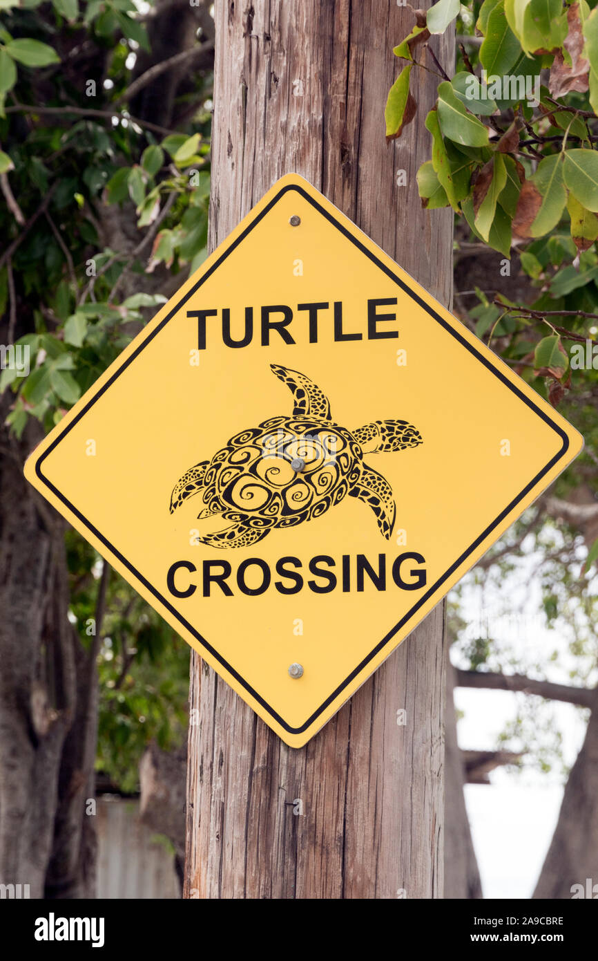 Turtle crossing signe sur l'île des Caraïbes de la Barbade Banque D'Images